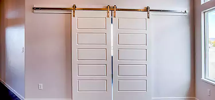Glass Barn Door with Installation Hardware Kit New Orleans